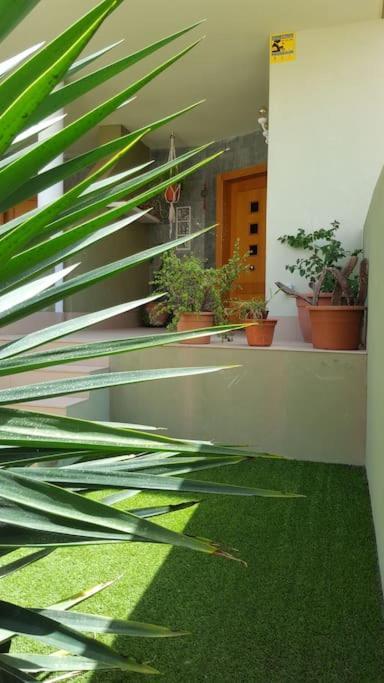 Atlantic Star - Duplex With Ocean Views Apartment Puerto del Rosario  Exterior foto